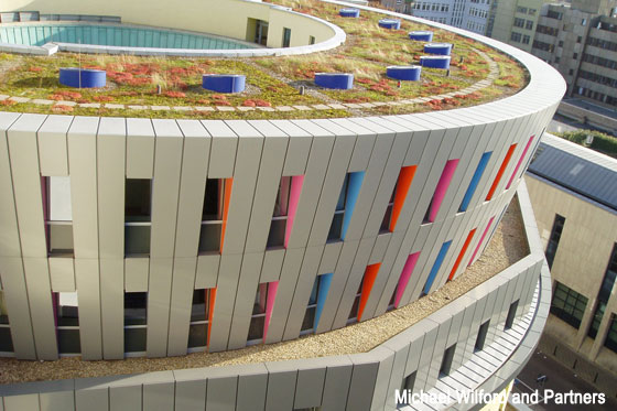 College of Music